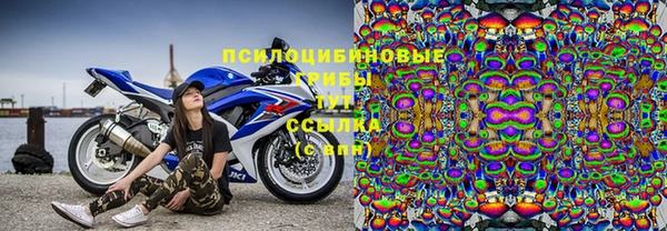 дмт Новодвинск