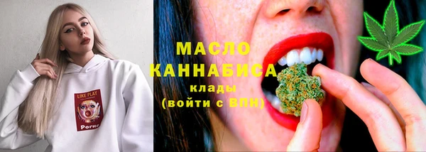 дмт Новодвинск