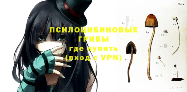 a pvp Зеленокумск