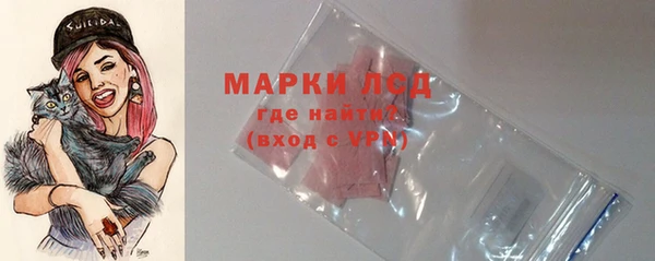 дмт Новодвинск