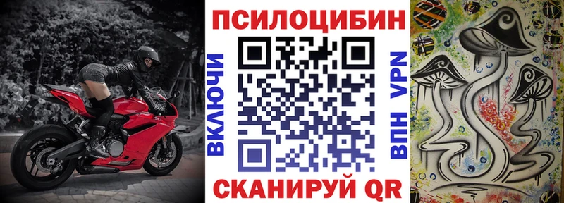 даркнет сайт  мега ТОР  Псилоцибиновые грибы MAGIC MUSHROOMS  Белая Холуница 