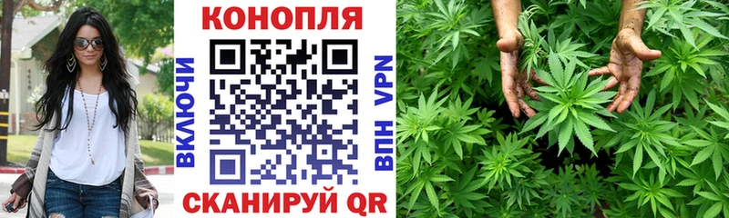 Каннабис план  Белая Холуница 
